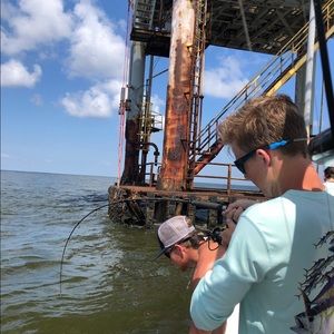 Meet your Posher, Blake